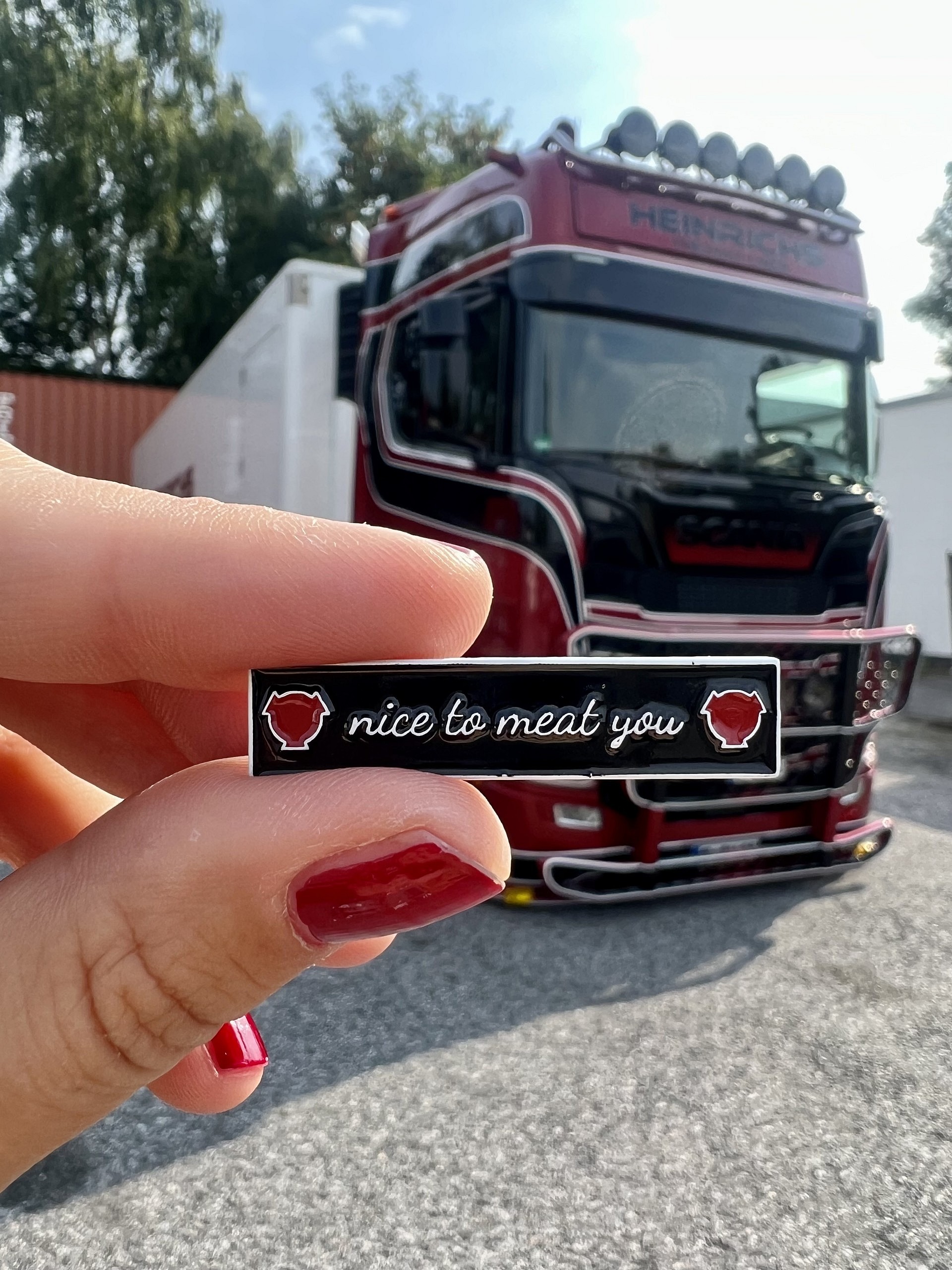 Pin Schmutzlappen nice to meat you Lkw Front